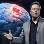 Neuralink: Promessas e Percalços